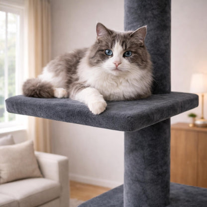 Arbre à chat réglable plafond grande hauteur avec poteaux en sisal – KERU