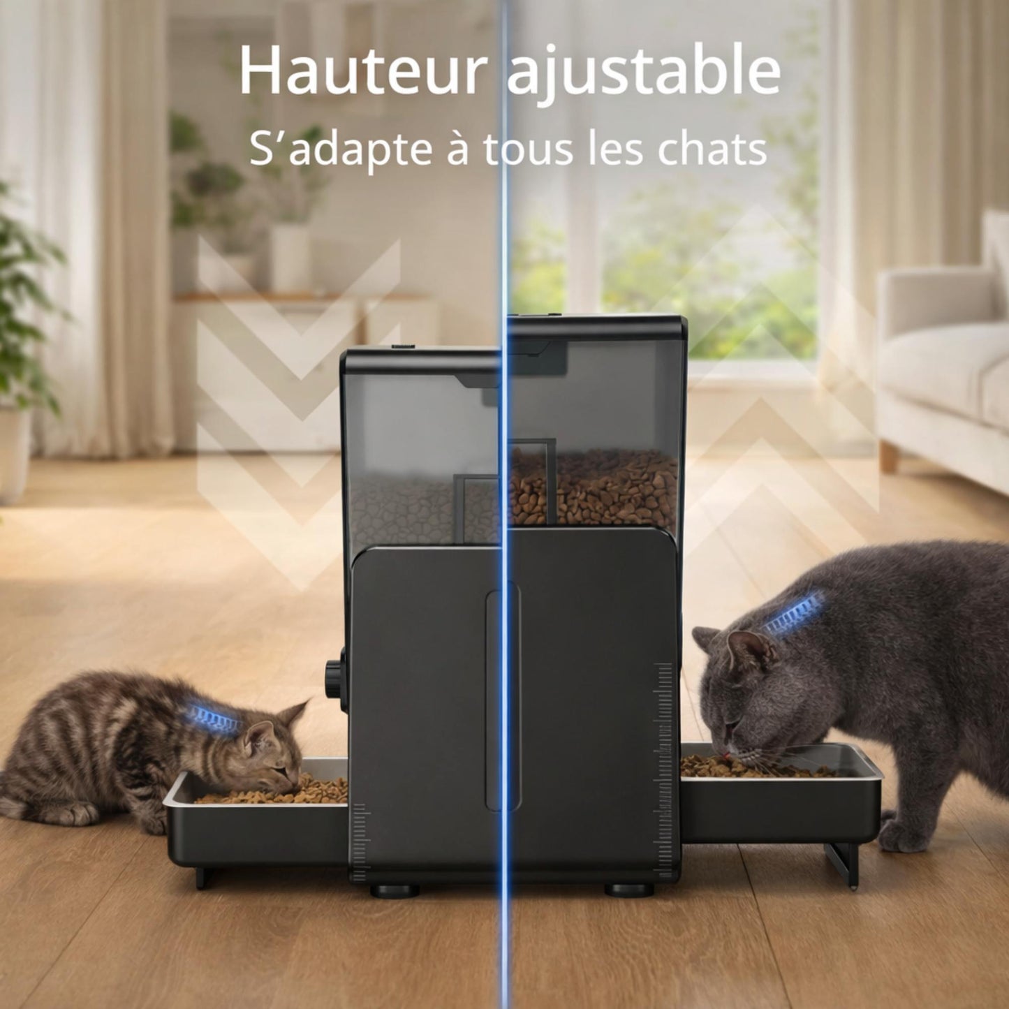 Distributeur automatique de croquettes double programmable – DUALO