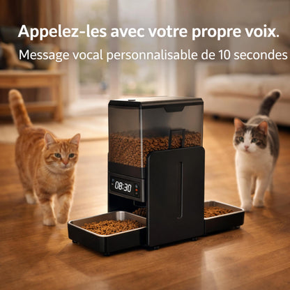 Distributeur automatique de croquettes double programmable – DUALO