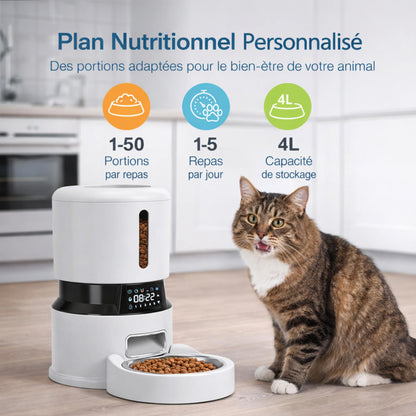 Distributeur automatique de croquettes 4L à écran tactile | Moustache & Cie