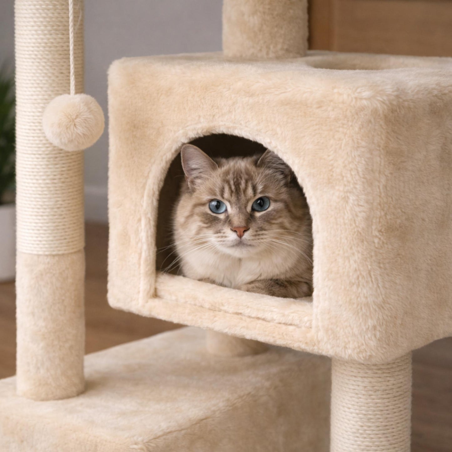 Arbre à chat bois compact avec couchage et sisal – ZARO