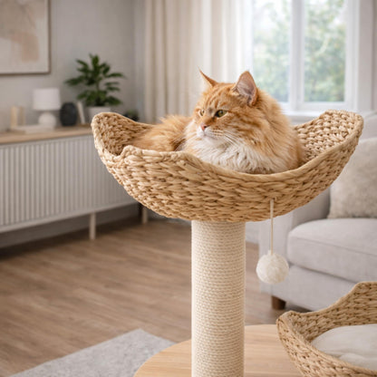 Arbre à chat en bois CÉLESTE