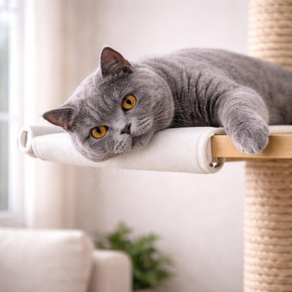 Arbre à chat SIGNATURE