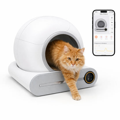 Litière autonettoyante connectée | Moustache & Cie