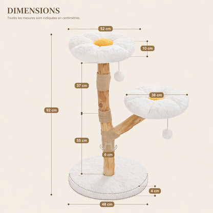 Arbre à chat bois compact – KIRO